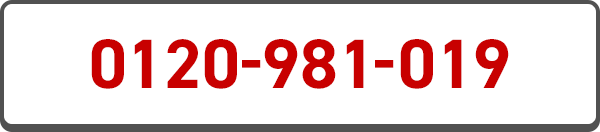 0120-981-019