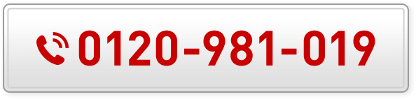 0120-981-019