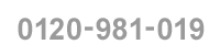 0120-981-019